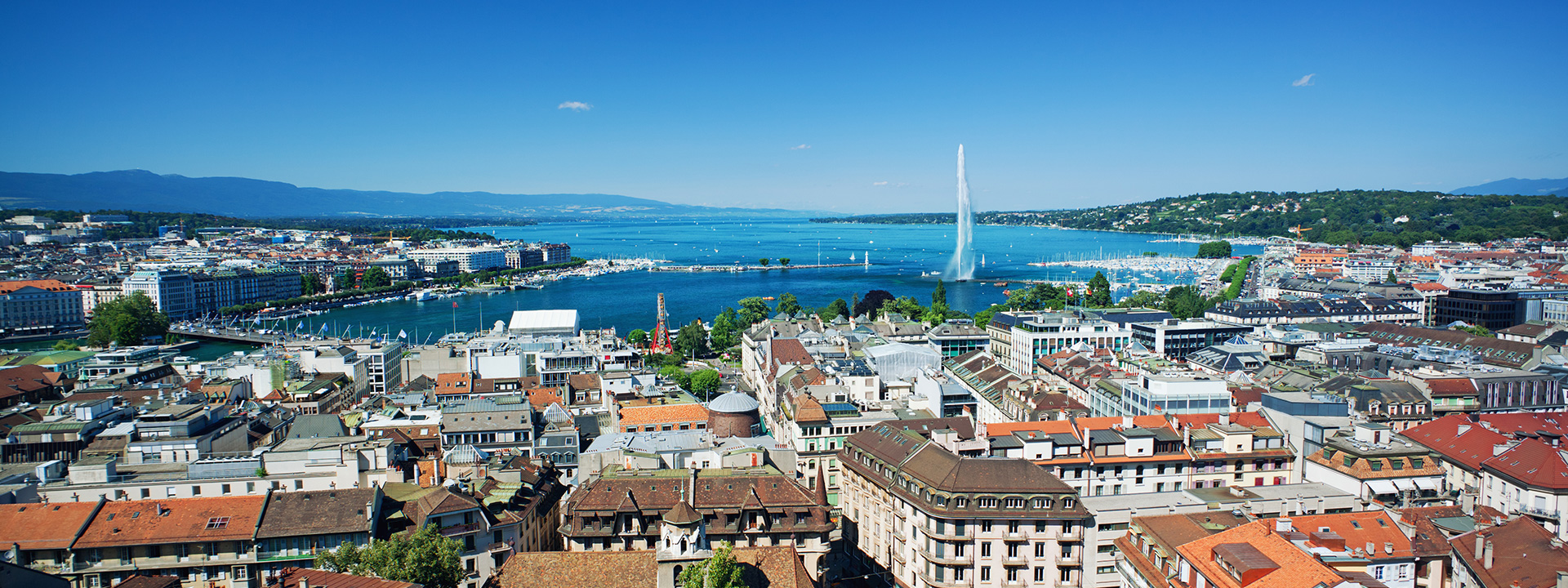 text-over-image homepage image